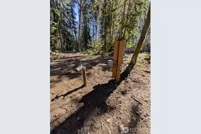 55912 317th Avenue E, Ashford, WA 98304 - Photo 4