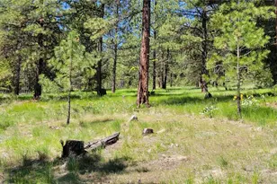 374 Bench Creek Rd, Tonasket, WA 98855 - Photo 1