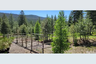 374 Bench Creek Road, Tonasket, WA 98855 - Photo 4