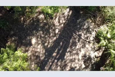 655 E Portage Road, Shelton, WA 98584 - Photo 12