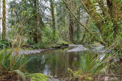 27 Olson Road, Quinault, WA 98575 - Photo 38