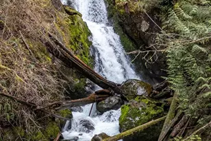 27 Olson Rd, Quinault, WA 98575 - Photo 36