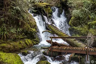 27 Olson Rd, Quinault, WA 98575 - Photo 34