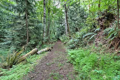 187 E Vineyard Crest Road, Grapeview, WA 98546 - Photo 30