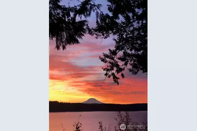 187 E Vineyard Crest Road, Grapeview, WA 98546 - Photo 10