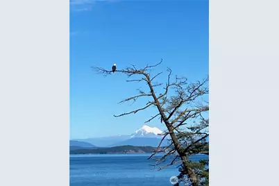 403 Eliza Road, Lopez Island, WA 98261 - Photo 12