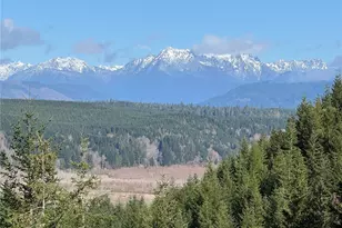 151 E Amy Ct, Shelton, WA 98584 - Photo 1