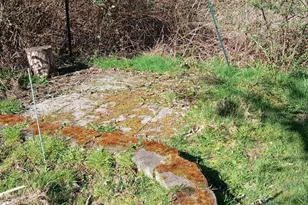 17242 Heather Ln SE, Yelm, WA 98597 - Photo 6