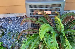 485 Spiketon Rd, Buckley, WA 98321 - Photo 24