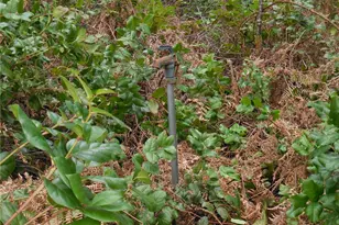 12545 Lindi Ln SW, Port Orchard, WA 98367 - Photo 36