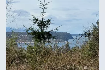 282 Drake Road, Port Townsend, WA 98368 - Photo 2