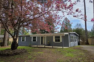60 E Balbriggan Rd, Shelton, WA 98584 - Photo 1