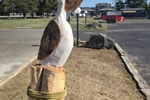 304 14th Street NW, Long Beach, WA 98631 - Photo 10