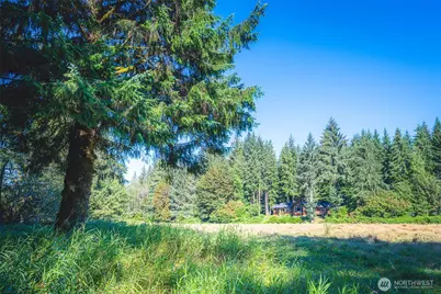 173 Pleasant Meadows, Beaver, WA 98305 - Photo 36