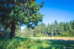 173 Pleasant Meadows, Beaver, WA 98305 - Photo 36