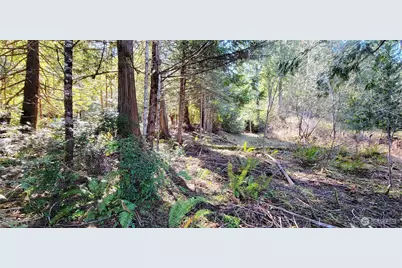 170 E Sprague, Union, WA 98592 - Photo 4