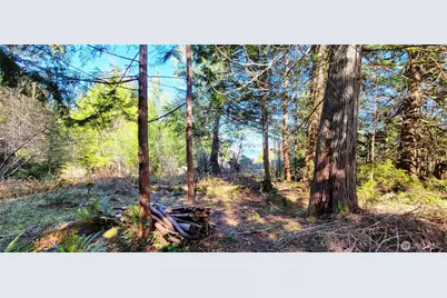 170 E Sprague, Union, WA 98592 - Photo 6