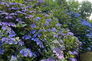 6602 Cromwell Beach Dr NW, Gig Harbor, WA 98335 - Photo 24