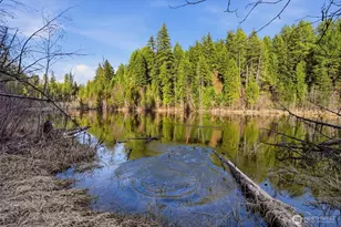 [Address not provided], Elk, WA 99009 - Photo 38