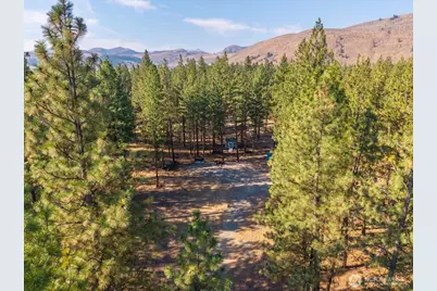96 Twin Lakes Drive, Winthrop, WA 98862 - Photo 16