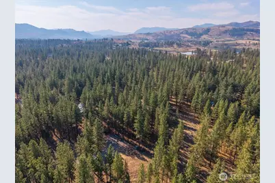 96 Twin Lakes Drive, Winthrop, WA 98862 - Photo 6