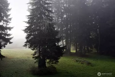 2619 Mora Road, Forks, WA 98331 - Photo 6