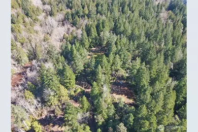 753 Jupiter Loop, Brinnon, WA 98320 - Photo 24