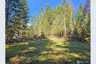 753 Jupiter Loop, Brinnon, WA 98320 - Photo 10