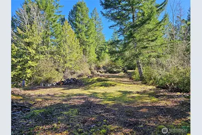 753 Jupiter Loop, Brinnon, WA 98320 - Photo 18