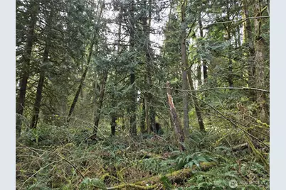 197 Xx 242nd Avenue NE, Woodinville, WA 98077 - Photo 22