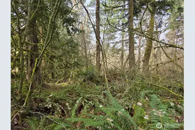 197 Xx 242nd Avenue NE, Woodinville, WA 98077 - Photo 12