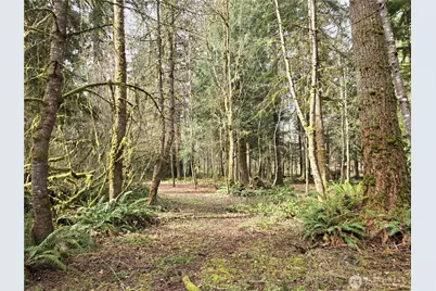 197 Xx 242nd Avenue NE, Woodinville, WA 98077 - Photo 24