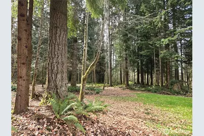 197 Xx 242nd Avenue NE, Woodinville, WA 98077 - Photo 28