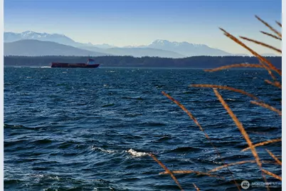 3621 Shorewood Avenue, Greenbank, WA 98253 - Photo 36