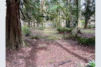 680 Mountain Trail, Brinnon, WA 98320 - Photo 8