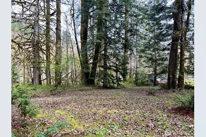 680 Mountain Trail, Brinnon, WA 98320 - Photo 6