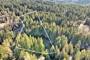 50 N Standstill Dr S, Hoodsport, WA 98548 - Photo 34