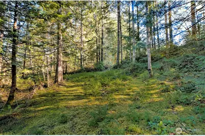 50 N Standstill Drive S, Hoodsport, WA 98548 - Photo 32