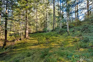 50 N Standstill Dr S, Hoodsport, WA 98548 - Photo 32