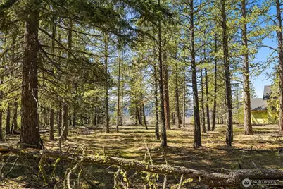 36 Wanawish Loop, Cle Elum, WA 98922 - Photo 4