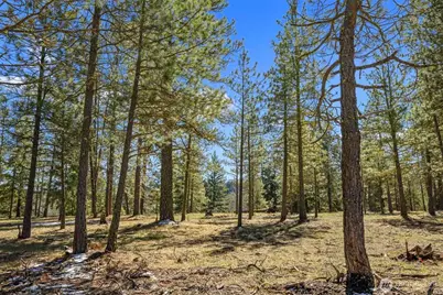 38 Wanawish Loop, Cle Elum, WA 98922 - Photo 6