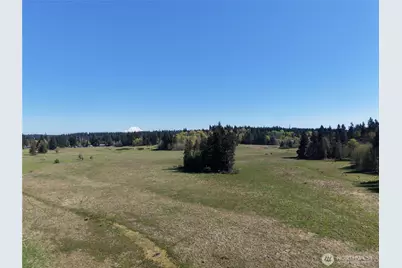 11938 Case Extension Road SW, Olympia, WA 98512 - Photo 6