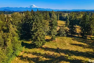 39540 188th Street SE, Enumclaw, WA 98022 - Photo 10