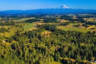 39540 188th Street SE, Enumclaw, WA 98022 - Photo 6