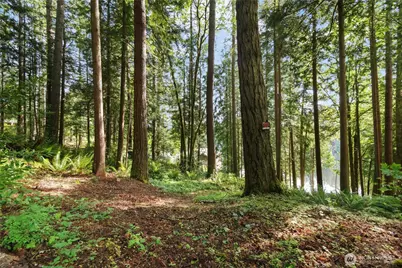 3304 W Ames Lake Drive NE, Redmond, WA 98053 - Photo 8