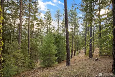 28 Wanawish Loop, Cle Elum, WA 98922 - Photo 10