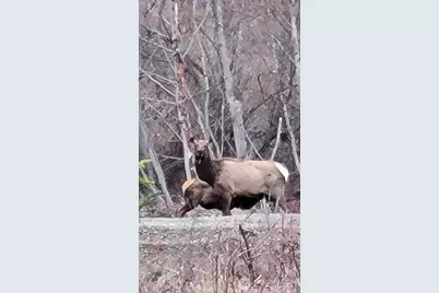 351 McKee Lane, Cle Elum, WA 98922 - Photo 20