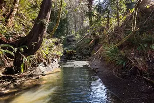 9905 Mariner Dr NW, Olympia, WA 98502 - Photo 20