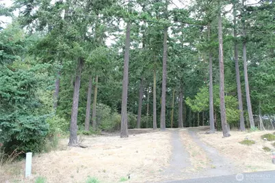 85 Quinault Loop, Port Townsend, WA 98368 - Photo 6