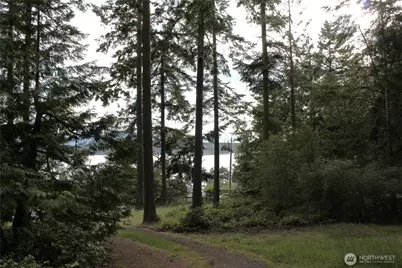 85 Quinault Loop, Port Townsend, WA 98368 - Photo 20